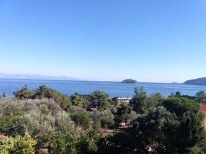 Villa with amazing view